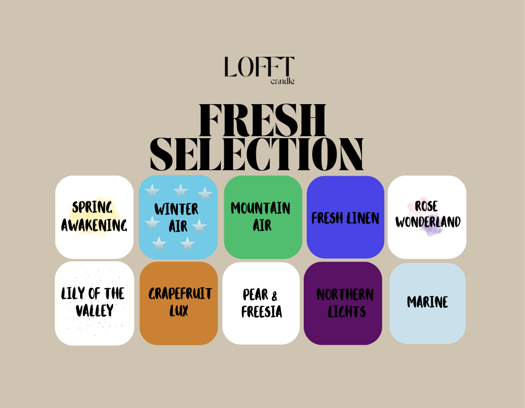 Wax Melt Sample Box